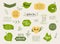 Collection of green labels and badges for organic, natural, bio and eco friendly products. Vintage vector,green colors