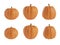 Collection of Halloween seasonal pumpkins decoration isolated on a white background