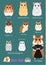 Collection of hamster breeds