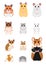 Collection of hamster breeds