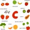 Collection of hand draw fruit and veggies rich in vitamin C. Vector cartoon flat style