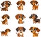 Collection of happy puppies vector illustrations, different poses, different expressions