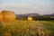 Collection of haybales on an open field during sunset