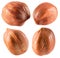 Collection of hazelnuts isolated on the white background