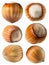 Collection of hazelnuts isolated on the white background