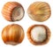 Collection of hazelnuts isolated on the white background