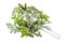 Collection on herbal medicine herbs in a metal sieve on a white background