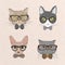 Collection of hipster cats