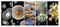Collection of horizontal or vertical banners with pathogenic bacterias and viruses. Virus under microscope. Fast multiplication of