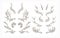 Collection of horns of various animals isolated on white background - ram, mountain goat tur, antelope, elk, bull