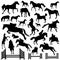 Collection of horse vector