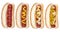 Collection of hotdogs