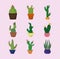 Collection icons different cactus in pots decoration