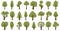 Collection of illustrations of trees. Can be used to illustrate any nature or healthy lifestyle theme