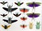 Collection of insects, many bright colorful beetles and grasshoppers with wings close up, entomological collection