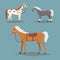 Collection of isolated horses. Cute cartoon horse farm animals. Differend breads