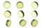 Collection of isolated washers zucchini on white