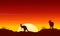 Collection kangaroo at sunset silhouette scenery