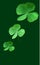 Collection Leaf plant green (Oxalis corniculata L