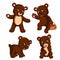 The collection of the little bear carry the basket of apple