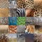 Collection of many real wild animals skin