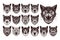 Collection of meowing exotic shorthair cat head illustration design