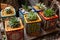 Collection of miniature succulent cactus plants in brightly coloured square pots