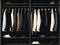 A collection of modern business attire hung in a closet ready to be chosen for the day ahead.. AI generation