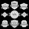 Collection monochrome antique award badge shield with ribbon premium quality vector