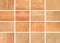 Collection Natural interior with wood wall,Color wood samples. Ð¡atalog of wood materials for design on a light background.