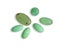 Collection of natural mineral crystal gemstones - Chrysoprase