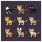 Collection of nine feline species