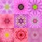 Collection of Nine Pink Concentric Flower Mandalas Kaleidoscope