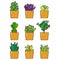 A collection of nine succulent plants