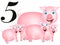 Collection number for kids: animals farm - number five, pigs.