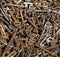 A collection of old and rusty key\'s