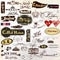 Collection of old styled vector signatures and labels cafe, coffee menu design New York and London