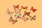 Collection Of Orange Fantasy Butterflies