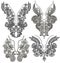 Collection of ornamental floral neckline