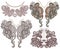 Collection of ornamental floral neckline