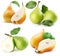 Collection of pears isolated on a white background