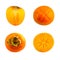 Collection of persimmon or kaki fruit isolated on white
