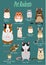 Collection of pet rodents