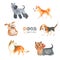 A collection of pets for the design and decoration of children`s products