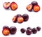 Collection of photos plums fruit isolated