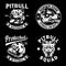 Collection of Pitbull Emblem and Logo Vector Illustration