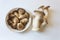 Collection of Pleurotus ostreatus Oyster Mushrooms and Pleurotus eryngii King Trumpet Mushrooms