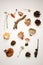 A collection of poisonous and edible mushrooms from the autumn forest with cones and dry herbal plants. Autumn fall background.