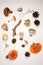 A collection of poisonous and edible mushrooms from the autumn forest with cones and dry herbal plants. Autumn fall background