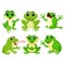 The collection of the pretty green frogs in the different posing